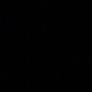 Meet your Posher, Tamir